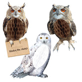 Harry Potter Hanging Honeycomb Owls 3pk